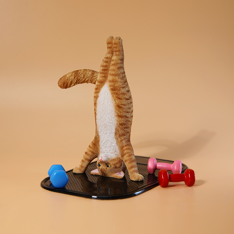1/6 Ölçekli Mini Simüle Fitnes - Kids Yoga Toys incelemesi ve fiyatı