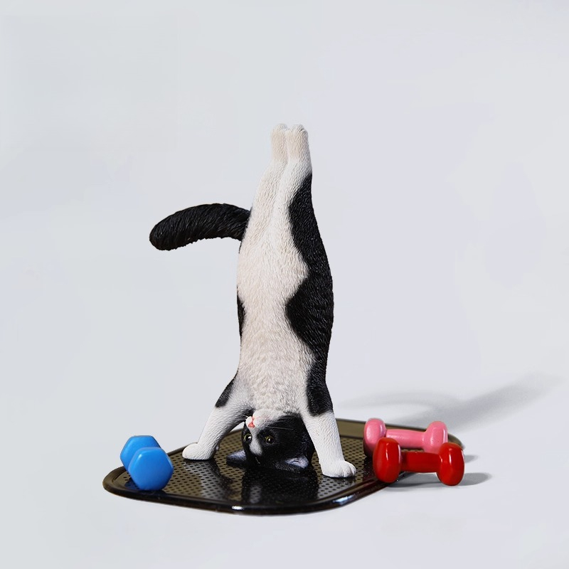 1/6 Ölçekli Mini Simüle Fitnes - Kids Yoga Toys incelemesi ve fiyatı